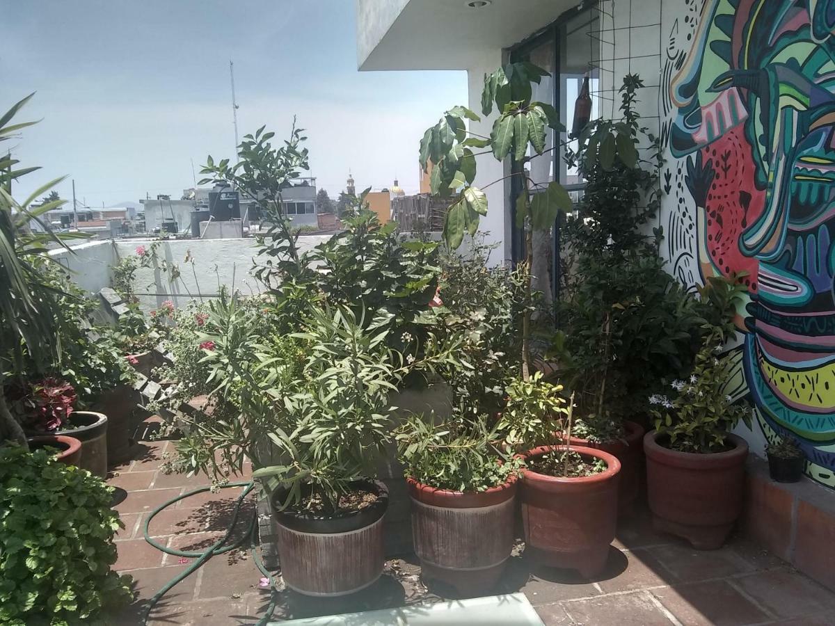 Hostal El Cascabel Cholula Exterior photo