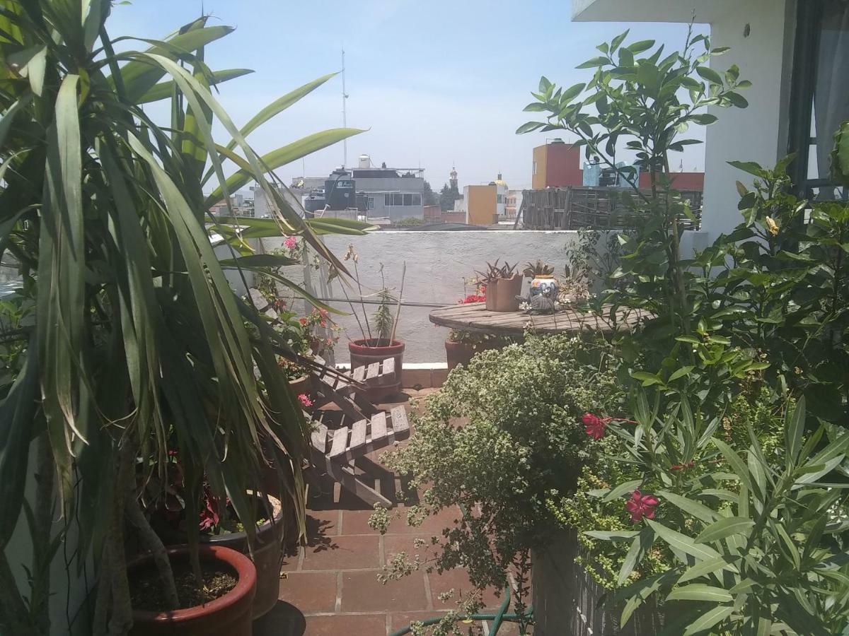 Hostal El Cascabel Cholula Exterior photo